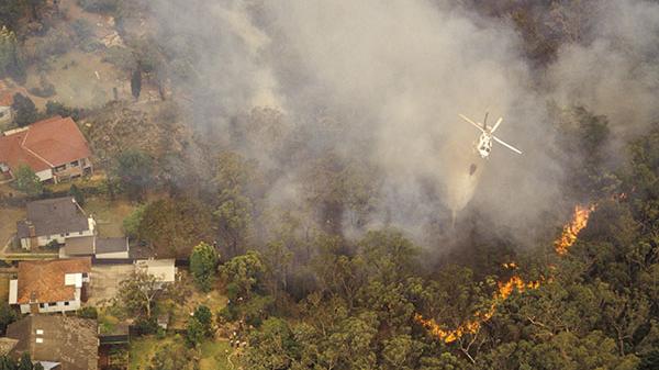 A plane drops water on a bushfire
